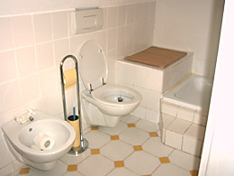 onf of the bathrooms with shower