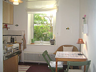 Wohnk&uuml;che mit Blick in den Garten