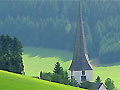 Haus Lupino im Schwarzwald