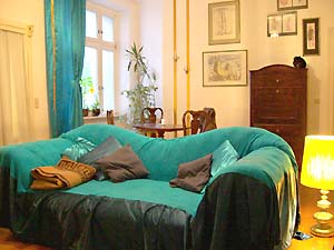 Couch in the living room