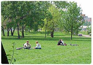 "Falkplatz" en "Mauerpark" nabij