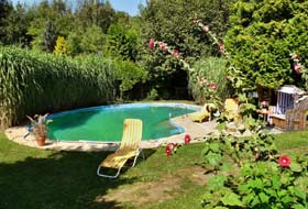 Swimmingpool im Garten