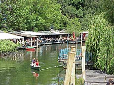 Cafe - Freischwimmer - DER  TIPP 