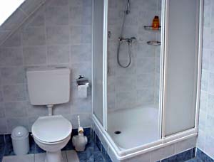 De badkamer is voorzien van WC, douche, wastafel en spiegelkast.