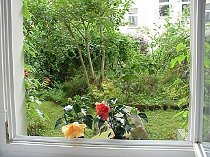 Blick aus dem Fenster in den hof