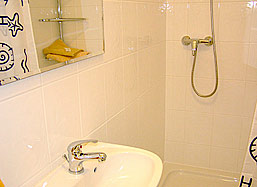 De badkamer met douche, W.C. en wastafel