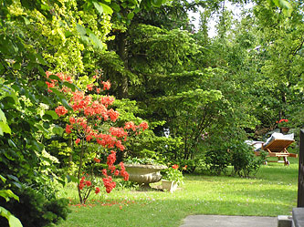 Relaxing in the garden