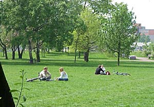 Berlin Falkplatz und Mauerpark