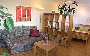 Mieszkanie wakacyjne/pokj mieszkalnosypialny jest podzielony na na pol drewnianym regalem