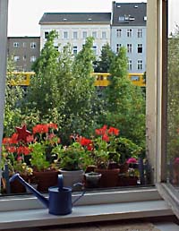 Aussicht aus dem Fenster