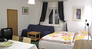 El salón con cama en el apartamento
