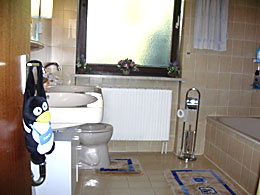 Bagno con la vasca del bagno per ripartirsi