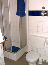 guest bathroom with shower