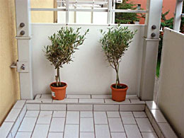 piccolo balcone Appartamento