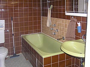 Shared bathroom with bath tub