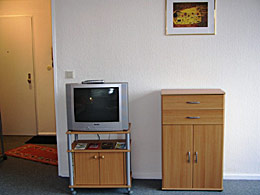television in room