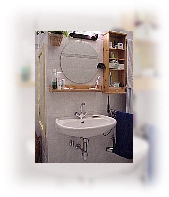 Il bagno e la cucina possono essere utilizzati assieme all'ospitante