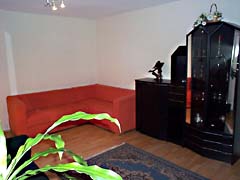 Das Wohnzimmer mit Schlafcouch