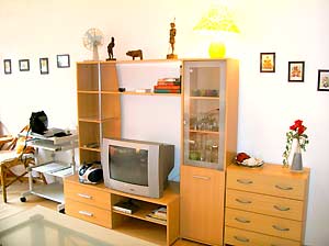 small wall unit with TV