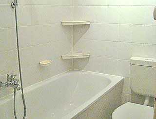 Salle de bains avec la baignoire