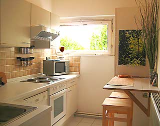 Küche mit Herd, Geschirrspühlmaschine in der Ferienwohnung in Berlin