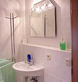 Das moderne Bad mit Dusche und WC 
