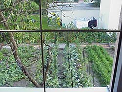 jardín desde la ventana de la cocina del alojamiento