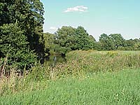 Photos of the area surrounding the holiday home in south-west Leipzig- meadow