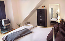 Television set, mirror and chest of drawers in your room.