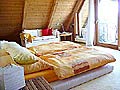 4 comfortabele kamers in Schallstadt (bekend om zijn wijn) in de buurt van Freiburg