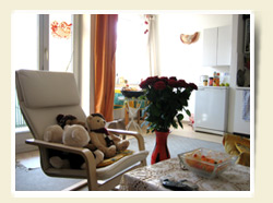 A sunny livingroom with a TV and a place to rest