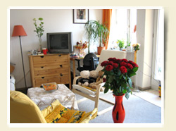 View over the living room and the kitchenette