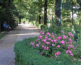 kleiner Park nahe dem Haus