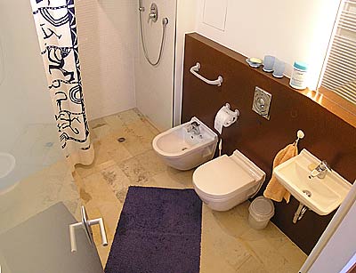 A modern bathroom with shower, toilet and bidet to be shared