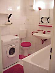 Le bain avec la baignoire