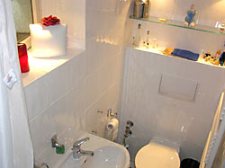 petite salle de bains avec douche