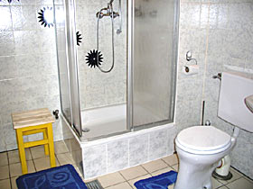 el cuarto de baño con una ducha