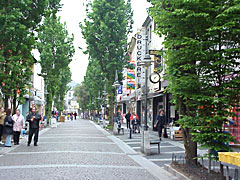 Die Innenstadt von Brühl
