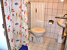 your own bathroom with a shower and a toilet