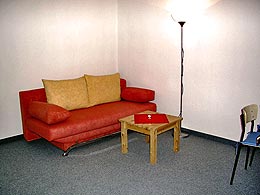 a sleeping couch for two guests in the living room