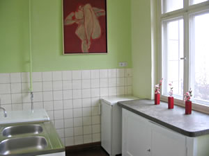 voll ausgestattete Küche im Apartment