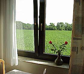 Blick aus dem Fenster