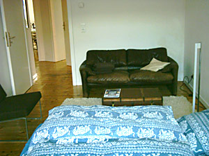 guest room with sofa
