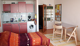 kitchen in the room of munich apartment