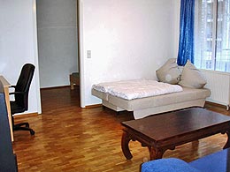 Salón-/dormitorio recién amueblado con 2 sofás-cama dobles