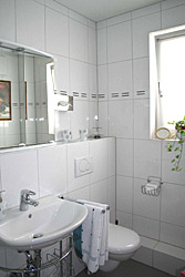 bathroom with shower in Munich