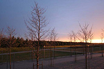 landscape park at night in Munich