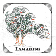 Tamarisk