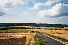 Paisaje en la zona de Usingen