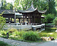 The Chinese Garden in Frankfurt am Main - just around the corner from your accommodation